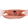 CrossGearX Gode Ceinture Creux Lipierix 16 x 5.5cm